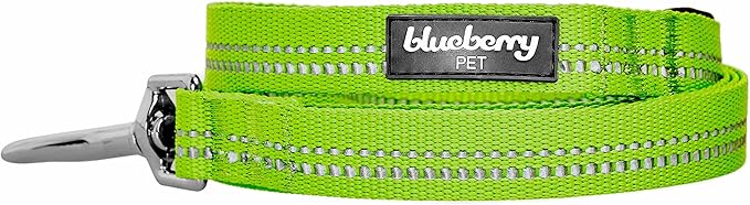Blueberry Pet 3M Reflective Pastel Color Dog Leash with Soft & Comfortable Handle, 5 ft x 3/4", Green Flash, Medium, Leashes for Dogs
