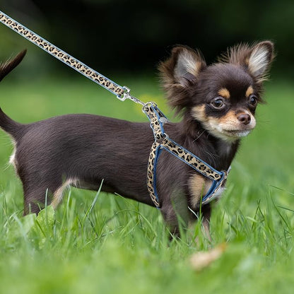 Mile High Life Leopard Dog Harness Collar Leash Set, Adjustable No Pull Dog Halter Harness for Small Breed Dogs, Easy Control for Training Walking (Blue, M Chest 15"-21", Neck 13"-17")