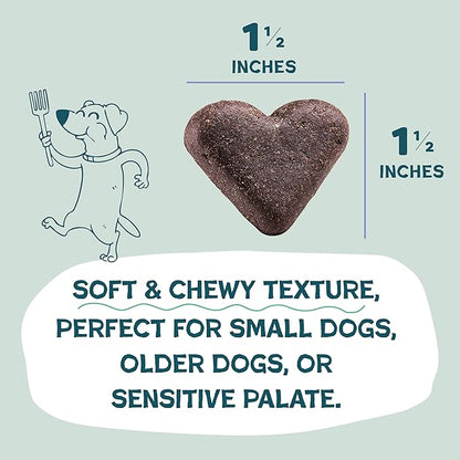 Shameless Pets Soft-Baked Dog Treats, Blueberried Treasure - Natural & Healthy Chews with Mint for Immune Support - Dog Biscuits Baked & Made in USA, Free from Grain, Corn & Soy - 1 Pound (Pack of1)