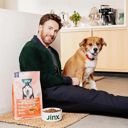 Jinx Premium Dry Dog Food, for All Lifestages - Real Chicken, Brown Rice & Sweet Potato Kibble with Superfoods for Immune Support & Probiotics for Digestive Support - No Fillers - 11.5lb