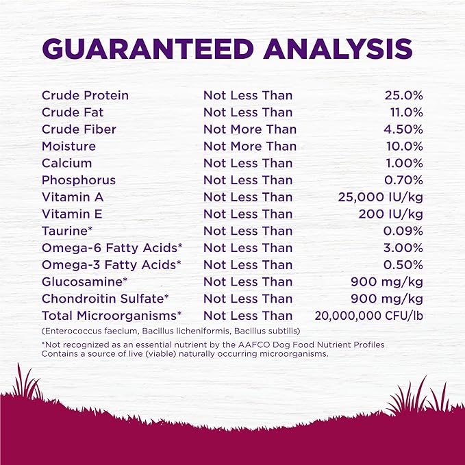Wellness Complete Health Age Advantage Small Breed Senior Dry Dog Food, Wholesome Grain Kibble, Natural, Turkey and Peas Recipe, 4 lb Bag
