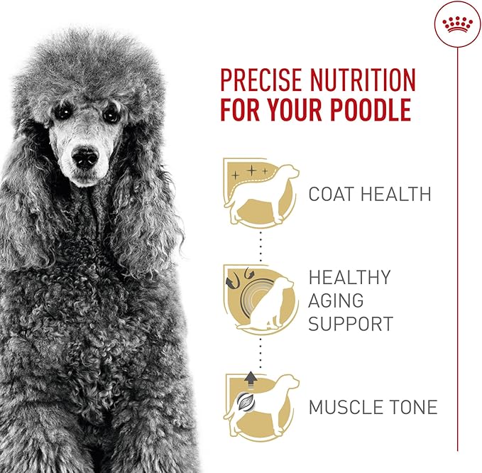 Royal Canin Breed Health Nutrition Poodle Adult Dry Dog Food, 2.5 lb Bag