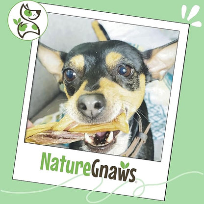 Nature Gnaws Braided Gnaws for Dogs 5-6" (12 Count) - Long Lasting for Small and Medium Dogs - Natural Beef Bully Stick Combo Braids - Rawhide Free