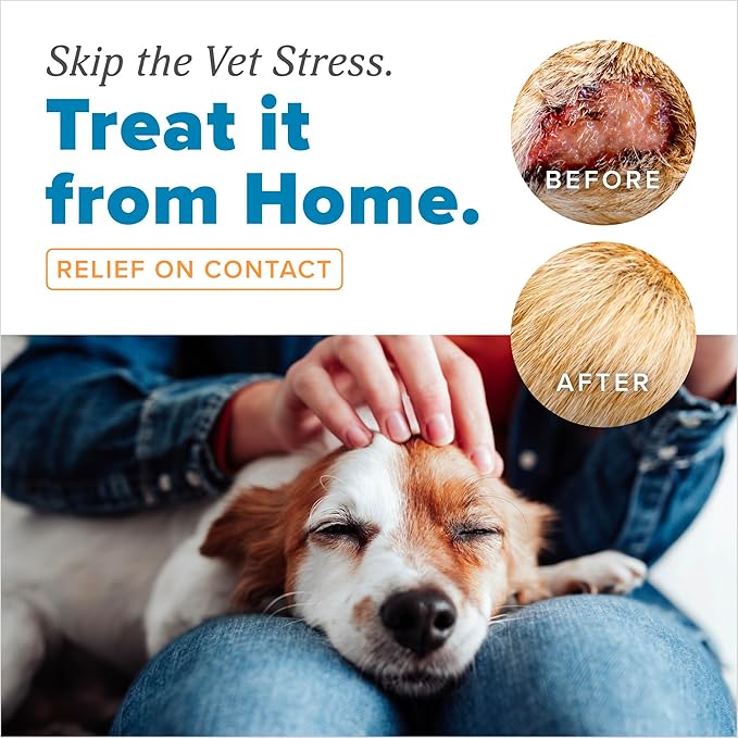 TropiClean HomeVet Medicated Cream, Hot Spot Treatment for Dogs, Fast Itch Relief, with Vet Strength Chlorhexidine & Hydrocortisone, USA Made, 2 Pack
