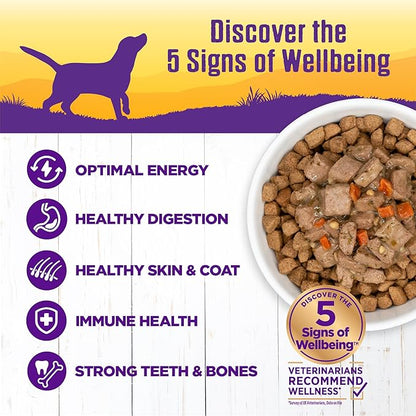 Wellness Complete Health Stew Adult Canned Wet Dog Food, Grain Free, Natural, Lamb and Beef Recipe, 12.5 oz, Pack of 12 Cans