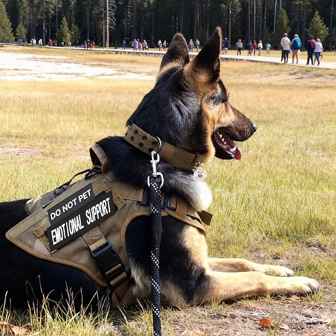 Emotional Support Dog Patches 2 pcs, Emotional Animal ESA ID Tag, Easily Attach to Collar, Harness (Medium)