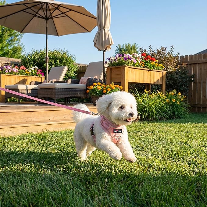 No Pull Dog Harness and Leash Set-Reflective Plaid Design, Adjustable & Comfortable with Front D Ring for Small Medium Dogs (XS, Pink Plaid)