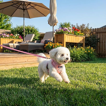 No Pull Dog Harness and Leash Set-Reflective Plaid Design, Adjustable & Comfortable with Front D Ring for Small Medium Dogs (XS, Pink Plaid)