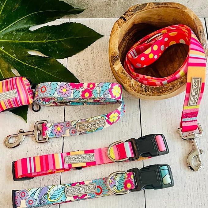 Lucky Love Dog Collar and Leash Set - Colorful Stripes, Yellow, Pink, Blue - Cute Female Dog Combo Set - Large, Molly Combo