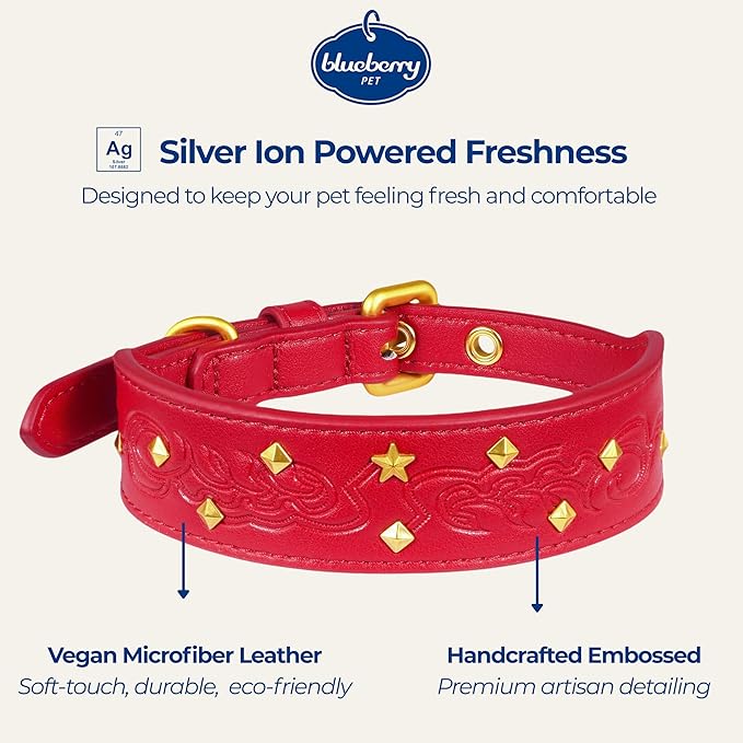 Blueberry Pet Premium Embossed Red Glam Silver-Powered Freshness Microfiber Leather Dog Collar with Gold Studs
