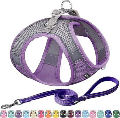 AIITLE Step in Dog Harness and Leash Set - No Pull Escape Proof Vest Harnesses with Soft Mesh and Reflective Bands, Adjustable Pet Outdoor Harnesses for Small and Medium Dogs Purple M