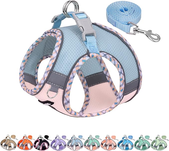 AIITLE Dog Harness and Leash Set - Ultra-Comfortable XXS-XL Vest with Strong Magic Tape & Glow-in-Dark Reflective Strips, Chafe-Free for Teddy, Schnauzer (Blue-Pink, M)