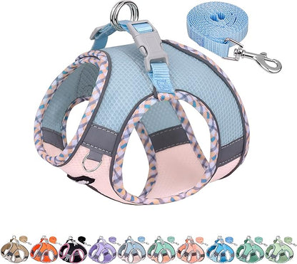AIITLE Tiny Dog Harness - Lightweight Mesh Step-in Vest for Puppy, Reflective & Escape-Proof Design with High-Stick Magic Tape - Indoor/Outdoor Use for Chihuahua, Maltese, Shih Tzu(Blue-Pink, XXXS)
