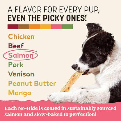 Earth Animal No Hide Strips - Natural Rawhide Free Dog Chew Strips, Salmon - 4 Count