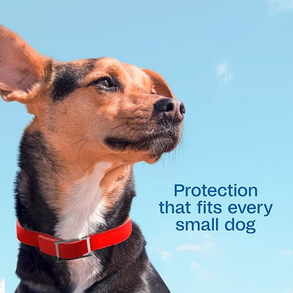 ADAMS Plus Flea & Tick Collar for Small Dogs, Flea Collar for 7-Month Prevention, Adjustable Collar Fits Small Dogs & Puppies, Kills Fleas & Ticks, 1 Count