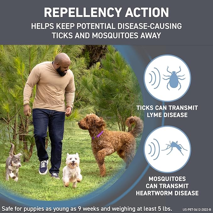 FRONTLINE Shield Flea & Tick Treatment for Large Dogs 41-80 lbs. Count of 6
