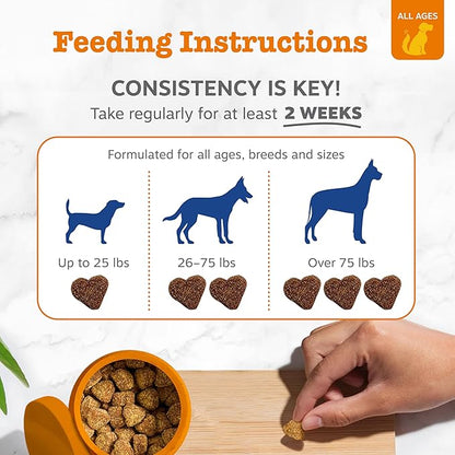Zesty Paws Dog Multivitamin, Chewable Dog Vitamins and Supplements for Hip & Joints, Skin & Coat, Omega 3 Fish Oil for Dogs- Senior & Puppy Multivitamin- Peanut Butter- 50ct