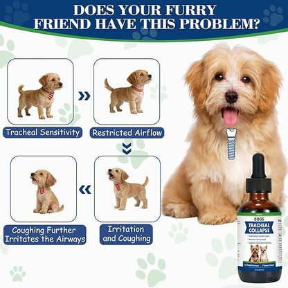Dog Tracheal Collapse, Collapsed Trachea Treatment for Dogs, Herbal Liquid Drops Relief Cough & Helps Promote Easier Breathing, Natural Respiratory Support Airway Comfort, Bacon Flavor - 2 FL OZ