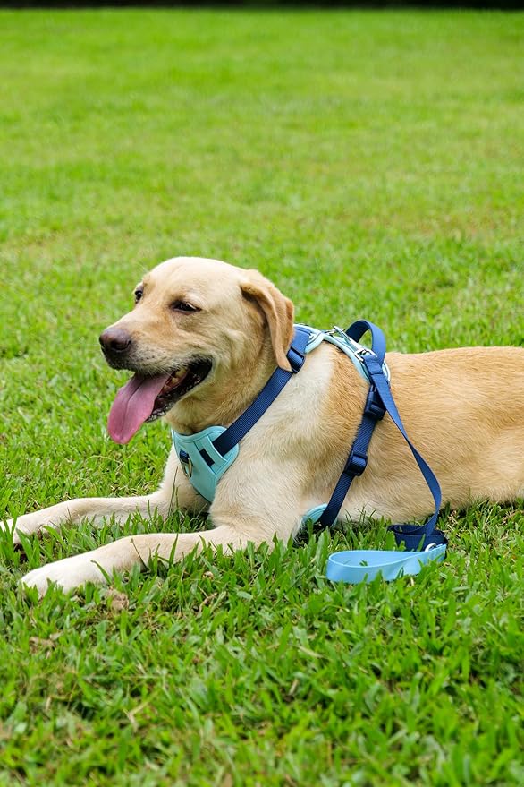 3 in 1 No Pull Dog Harness Leash and Collar Set, Soft Adjustable Dogs Vest Reflective and Comfortable Handle Blue Large