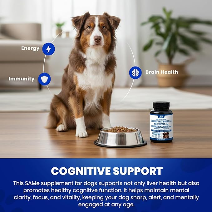 Liver Support Supplement for Medium Dogs with Silymarin (SAMe & Silybin) S-Adenosyl-L-methionine (SAM-e) & Silybum (Milk Thistle) Dog Liver Supplement - 3rd Party Tested, Non GMO - 30 Chewable Tablets