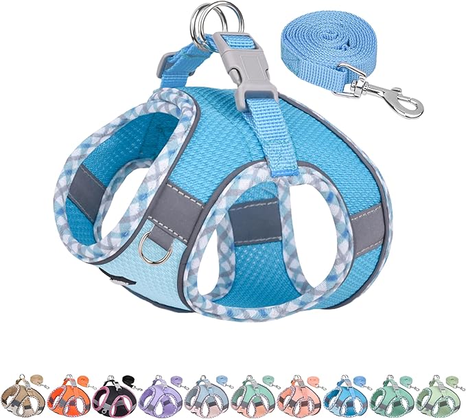 AIITLE Dog Harness and Leash Set - Ultra-Comfortable XXS-XL Vest with Strong Magic Tape & Glow-in-Dark Reflective Strips, Chafe-Free for Teddy, Schnauzer (Blue, M)