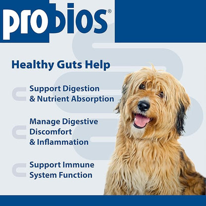 Probios Chewable Tablets for Dogs, Daily Probiotic Supplment for Gut Health, Digestion & Immune Support, 45 Count (Pack of 2)
