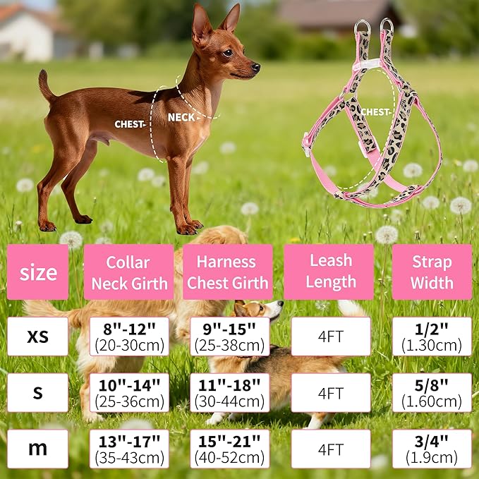 Mile High Life Leopard Dog Harness Collar Leash Set, Adjustable No Pull Dog Halter Harness for Small Breed Dogs, Easy Control for Training Walking (Beige, M Chest 15"-21", Neck 13"-17")