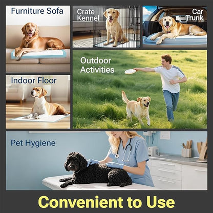 CLEAN SPACES Charcoal Puppy Pads Extra Large, Disposable Pee Pads for Dogs / Wee Wee Pads / Potty Training Pads, Underpads with Activated Carbon to Eliminate Odor, 28"x34" 50 Count