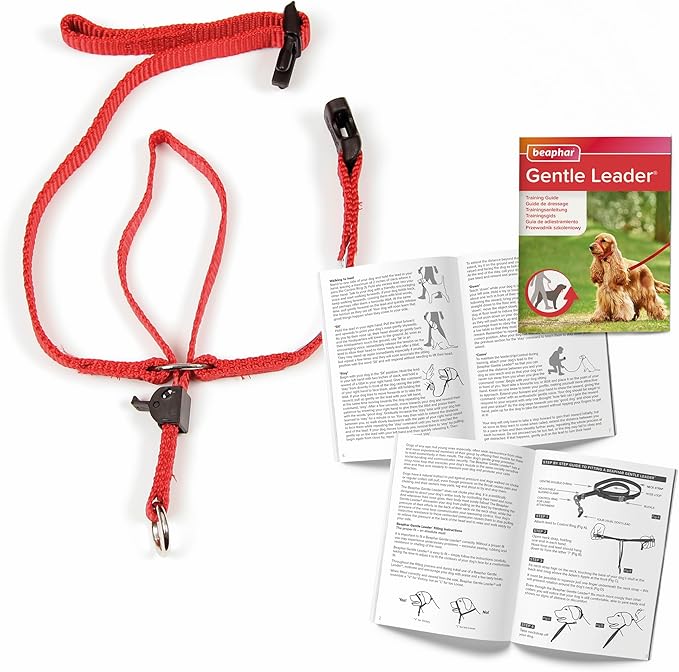 Beaphar | Gentle Leader | Head Collar for Medium Dogs | Stops Pulling On The Lead | Training Aid with Immediate Effect | Endorsed by Behaviourists | Red x 1