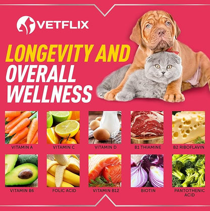10 in 1 Pet Vitamins for Dogs, Cats, Puppies and Kittens - Made in USA - Glucosamine and Multivitamin Supplement - Joint, Immune and Skin Health Support - 2 Fl Oz