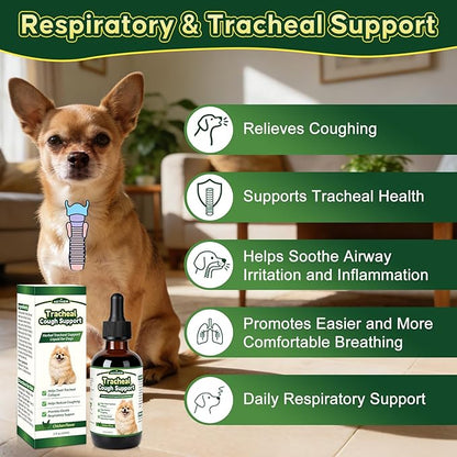 Trachea Cough Elixir, Collapsed Trachea Support for Dogs, Tracheal & Respiratory Airway Liquid, Dog Cough Relief Drops for Small Breeds, Natural Herbal Formula 2 fl oz Chicken Flavor