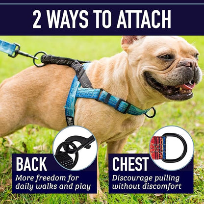 Leash Boss No Pull Dog Harness, Easy Walk for Small, Medium, and Large Pets, Reflective with Rear and Front Clip Attachment (Wave Pattern, Small)