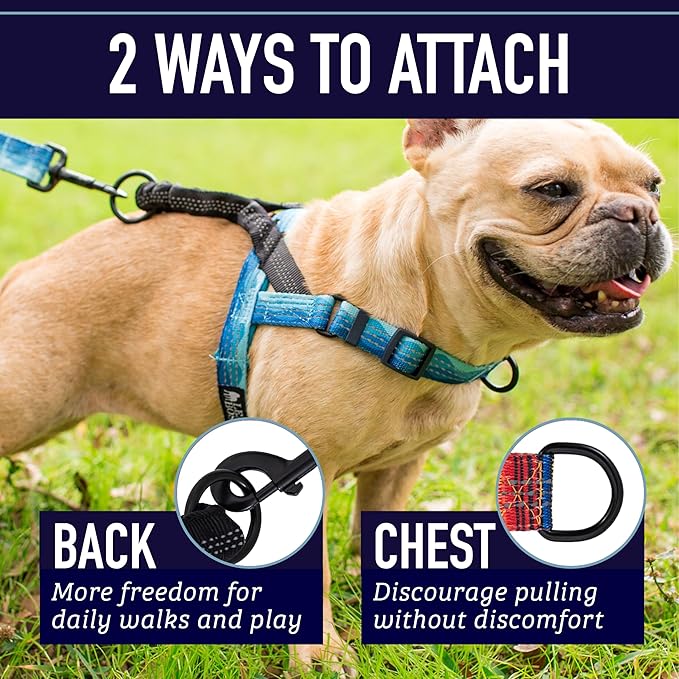 Leash Boss No Pull Dog Harness, Easy Walk for Small, Medium, and Large Pets, Reflective with Rear and Front Clip Attachment (Wave Pattern, Large)