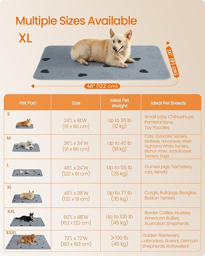 Feandrea Washable Dog Pee Pads, 2 Pack, Reusable, 48 x 36 Inches, XL, Waterproof Pet Training, Leakproof, Non-Slip, Super Absorbent, Gray UPTD036G01