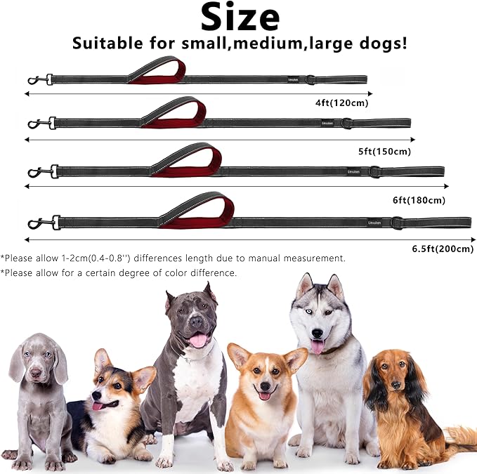 Dog Leash 6.5ft Long, Double Handle Dog Leash for Safety Control Training, Heavy Duty Dog Leads with Traffic Padded Handles, Reflective Leashes for Small Medium Large Dogs(6.5ft, Black Red)