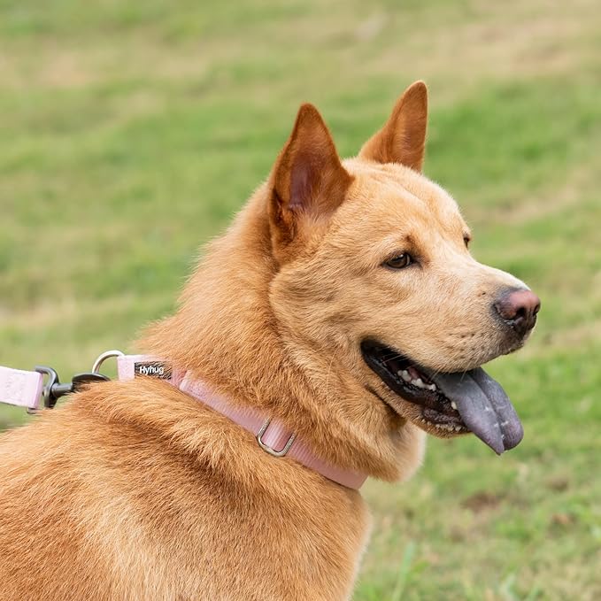 Hyhug Martingale Collar for Dogs Small Pink |Escape - Proof Heavy Duty Nylon Durable No Buckle, Ideal for Training & Daily Walks