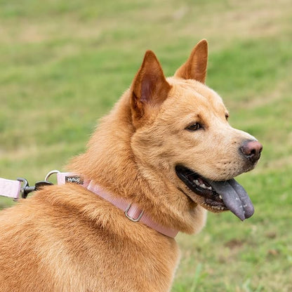 Hyhug Martingale Collar for Dogs Large Pink |Escape - Proof Heavy Duty Nylon Durable No Pull, Ideal for Training & Daily Walks