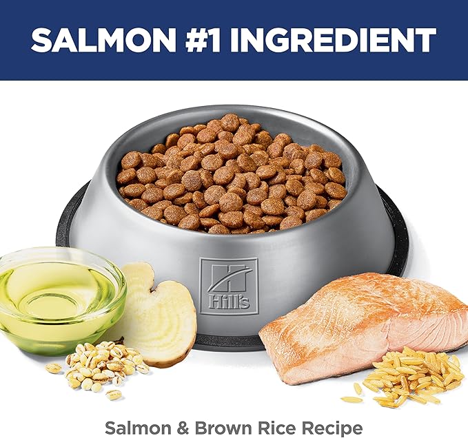 Hill's Science Diet Adult 1-6 Sensitive Stomach & Skin Dry Dog Food, Salmon Recipe, 3.5 lb. Bag