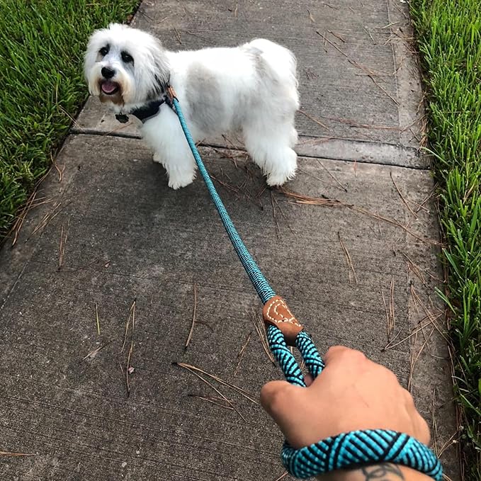 Mile High Life Rope Leash with Genuine Leather Connection, 6 FT/5 FT/4 FT, Heavy Duty Leash for Medium & Large Dogs (Turquoise Green, 60 Inch)