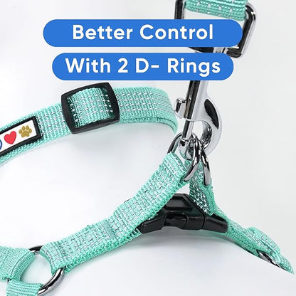 Pawtitas Reflective Step-in Dog Harness – Adjustable No-Pull Vest for Puppies to Seniors, Safe & Comfortable, XS Teal