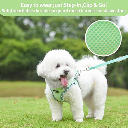 AIITLE Dog Harness and Leash Set - Ultra-Comfortable XXS-XL Vest with Strong Magic Tape & Glow-in-Dark Reflective Strips, Chafe-Free for Teddy, Schnauzer (Sage, M)
