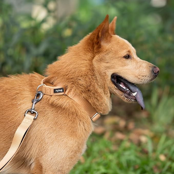 Hyhug Martingale Collar for Dogs Small Clay |Escape - Proof Heavy Duty Nylon Durable No Buckle, Ideal for Training & Daily Walks