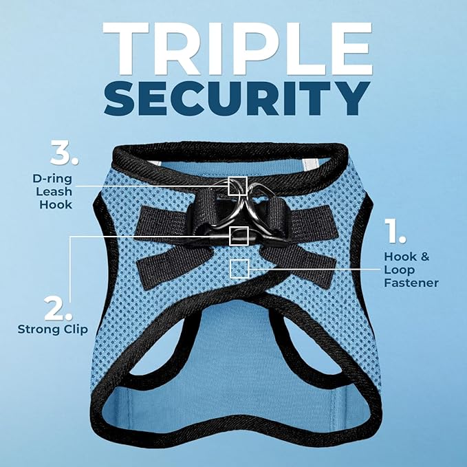 Best Pet Supplies Voyager Step-in Air All Weather Mesh Harness and Reflective Dog 5ft Leash Combo with Neoprene Handle, for Small, Medium and Large Breed Puppies - Set (Baby Blue/Black Trim), Small