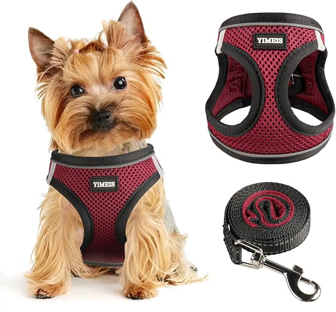 Dog Harness for Small Dogs and Leash Set, Honeycomb Grid, Reflective Lightweight Harness & Anti-Twist Pet Lead Multi Color, Size: XS-S-M. (XS, Deep Purple)