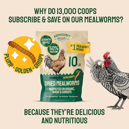 Hatortempt Dried Mealworms - Non-GMO & Organic - High-Protein Mealworms for Wild Bird Food, Ducks & Chickens (5lb)