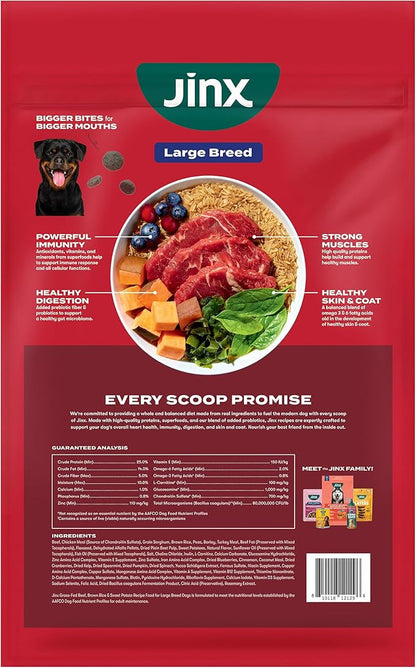 Jinx Premium Dry Dog Food for Large Dogs - Adult Dog Food with Real Beef, Brown Rice & Sweet Potato Kibble with Antioxidants for Joint Health, Mobility & Immune Support - No Fillers - 11.5lb