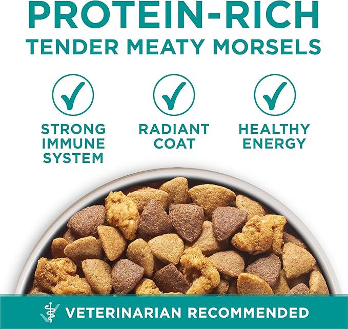 Purina One Plus Digestive Health Formula Dry Dog Food Natural with Added Vitamins, Minerals and Nutrients - 16.5 Lb. Bag