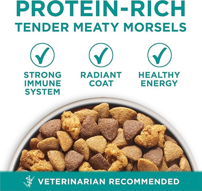 Purina One Plus Digestive Health Formula Dry Dog Food Natural with Added Vitamins, Minerals and Nutrients - (Pack of 4) 8 lb. Bags