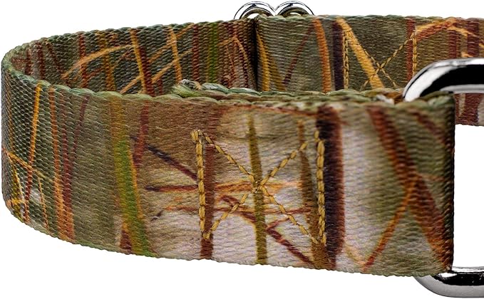 Country Brook Petz - Waterfowl Camo Martingale Dog Collar and Leash - Camouflage Collection Featuring Rugged Designs (1 Inch, Medium)