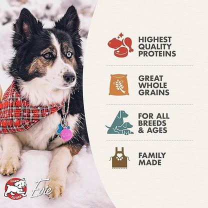 Fromm Four-Star Nutritionals Rancherosa Dog Food - Premium Dry Dog Food - Beef Recipe - 12 lb